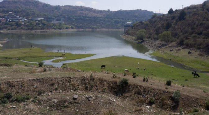 Estado de México – Analizan calidad del agua de la Presa Madín ante malos olores (El Sol de Toluca)